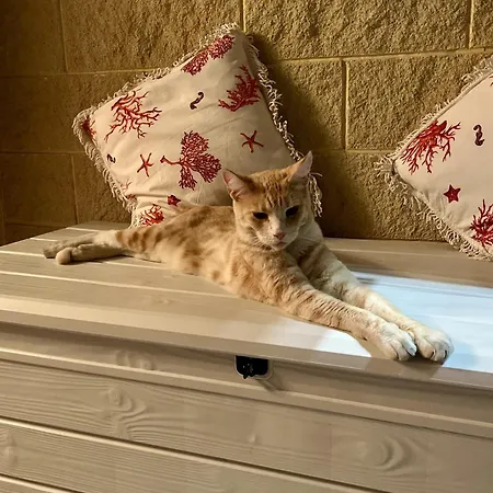 Appartement Oasi In Marina *