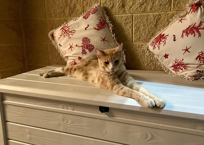 Appartement Oasi In Marina *